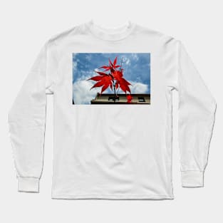 Red Maple and Sun Long Sleeve T-Shirt